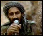 Local Reactions to Bin Laden